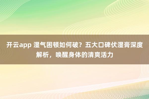 开云app 湿气困顿如何破？五大口碑伏湿膏深度解析，唤醒身体的清爽活力